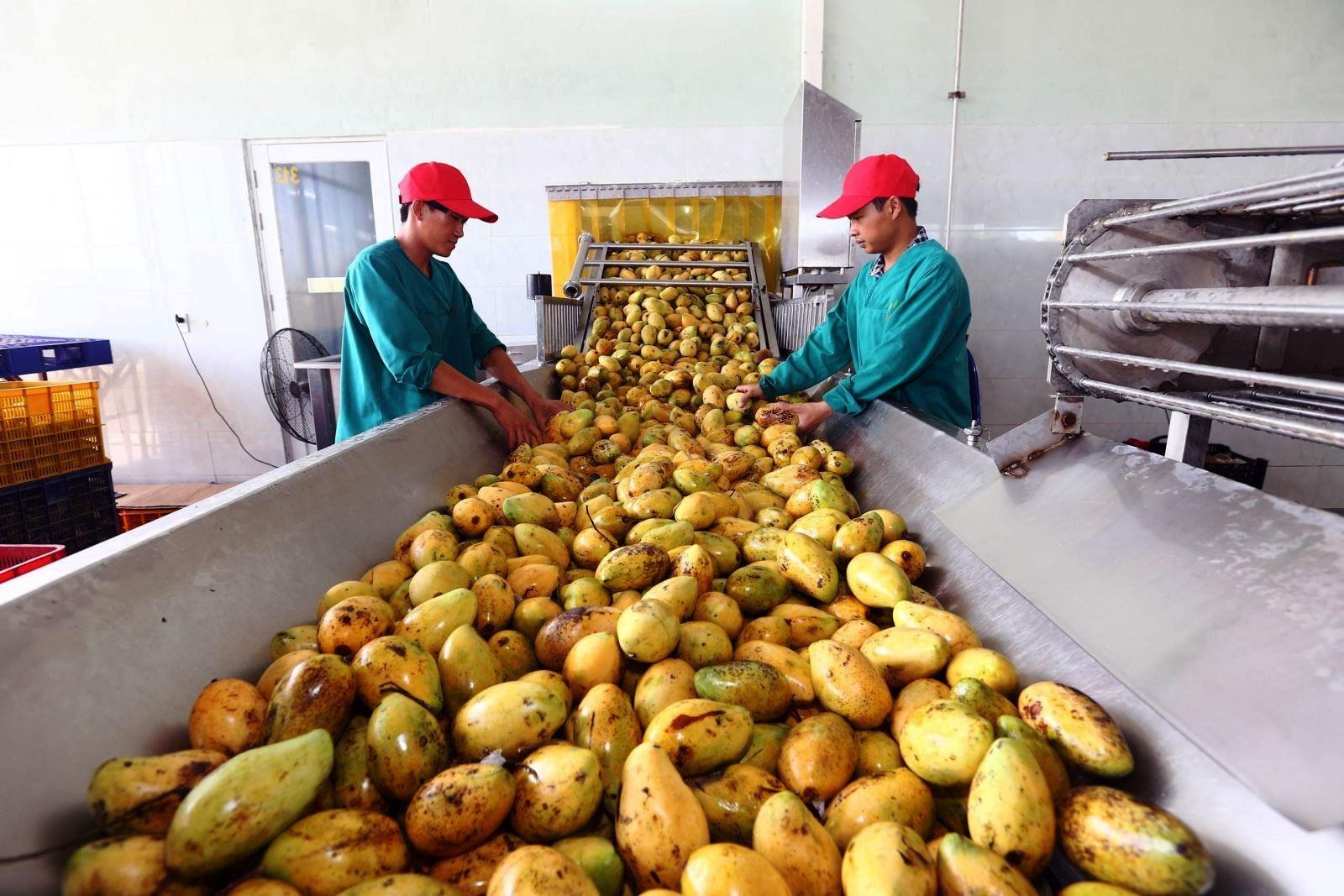 Hàng hóa dịp Tết: Nguồn cung dồi dào, giá cả ổn định